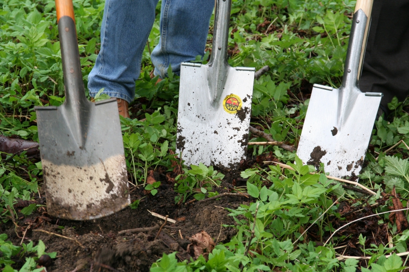 pepiniere-BRENON-min_work-lawn-flower-tool-green-backyard-1103633-pxhere.com